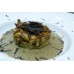 Truffe